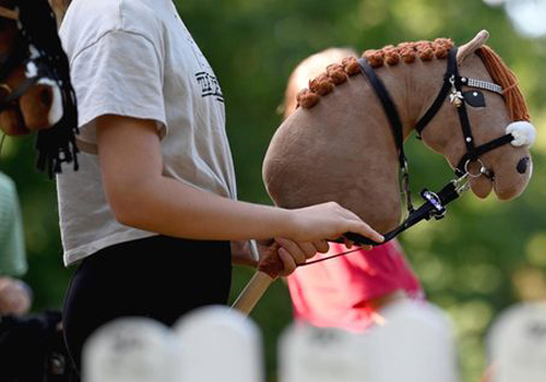 Hobby horsing
